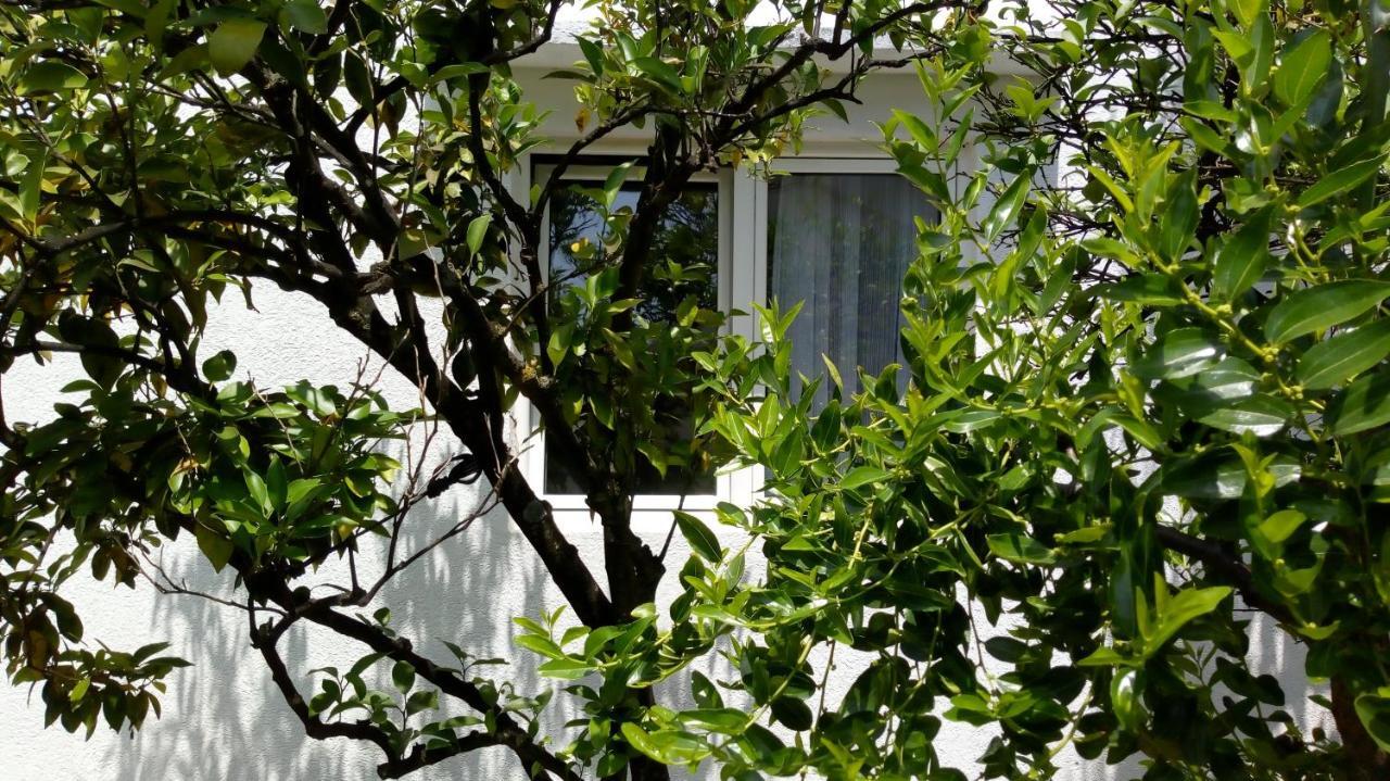 Tea Apartment Kotor Exterior foto