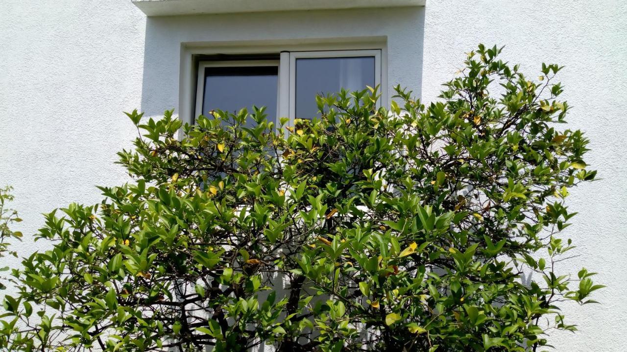 Tea Apartment Kotor Exterior foto